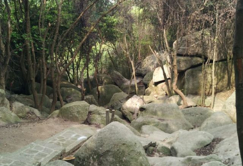 朱家尖白山景区第 26 张图片