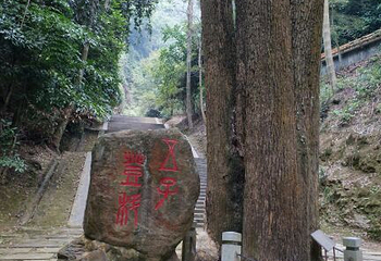 梧州圣文园第 6 张图片