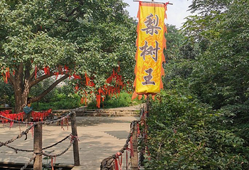 梨木台第 33 张图片