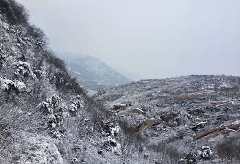 七峰山生态旅游区第 28 张图片