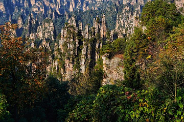 天子山风景区第 87 张图片