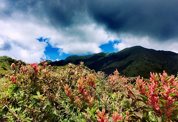 合欢山风景区第 13 张图片