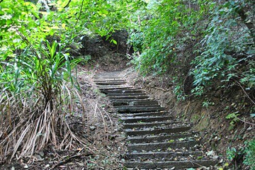 石台古徽道第 15 张图片