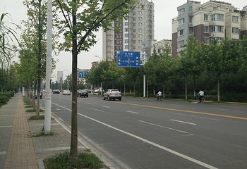 泗阳县城市森林公园第 10 张图片
