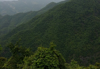 安康双龙溶洞景区第 20 张图片