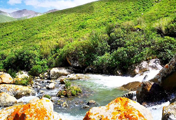 祁连山冰沟河景区第 34 张图片