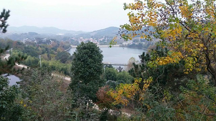 花乡茶谷旅游景区第 58 张图片