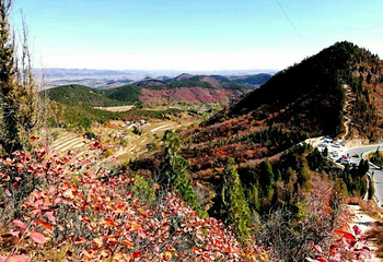 仙台山第 7 张图片