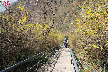 峻极峰第 5 张图片