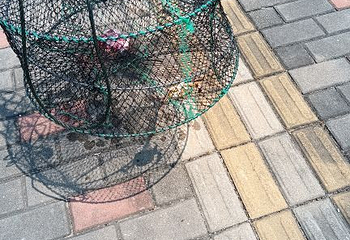 五缘湾帆船港第 34 张图片