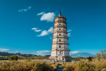 释迦佛舍利塔第 8 张图片