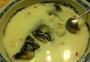 千岛湖鱼博馆第 7 张图片