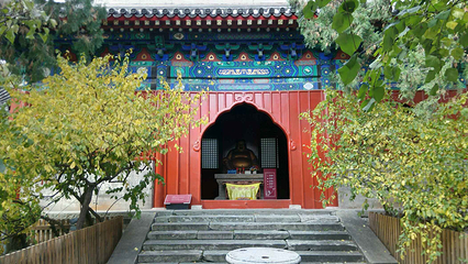 大觉寺第 27 张图片