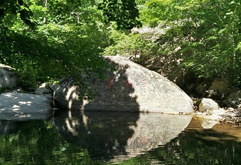 黄椅山森林公园第 24 张图片