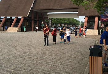 精彩上海旅游联票第 21 张图片