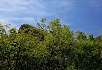 云梦山风景区第 30 张图片