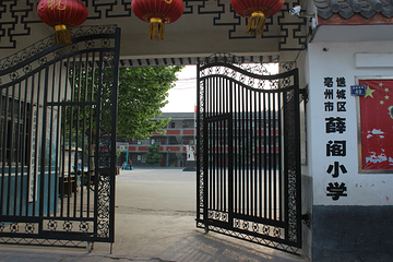薛阁塔第 5 张图片