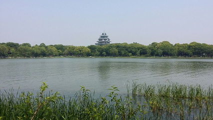 金鸡湖桃花岛第 32 张图片