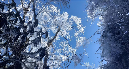 瓦屋山景区第 15 张图片