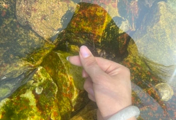 东炮台海滨旅游风景区第 37 张图片
