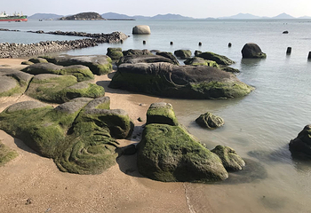 平潭国际旅游岛石牌洋景区第 20 张图片