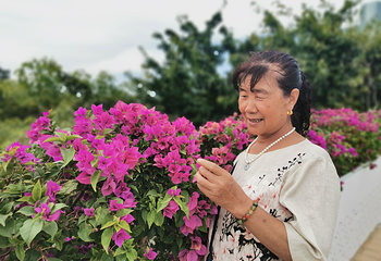 厦门园林博览苑第 157 张图片