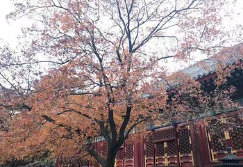 铜川香山第 4 张图片