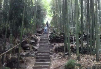 丽江金龙桥第 4 张图片