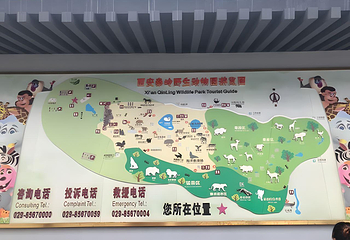西安秦岭野生动物园第 122 张图片