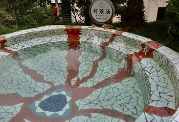 仙家温泉第 48 张图片