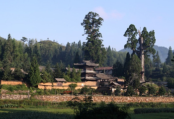 时思寺第 3 张图片