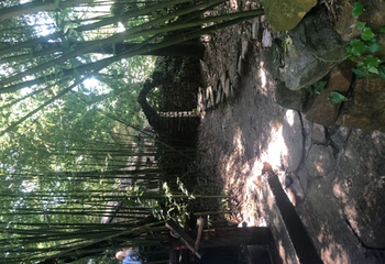 红石寨旅游度假区第 29 张图片