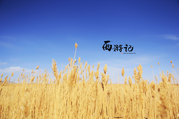 大苏干湖第 2 张图片