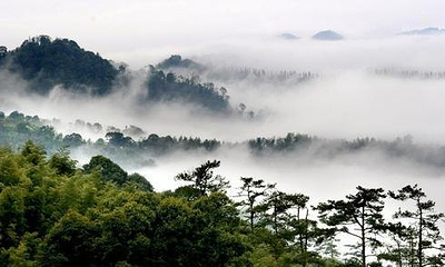 大云雾山旅游区第 31 张图片