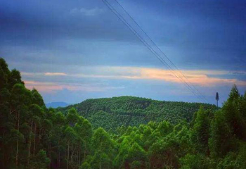 皂幕山旅游风景区第 23 张图片