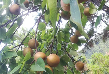 泰康山生态旅游区第 5 张图片