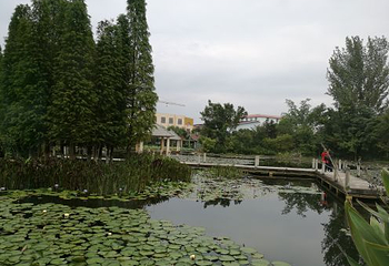 映月潭温泉第 46 张图片