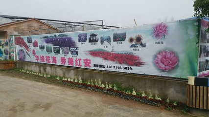 华缘农场第 24 张图片