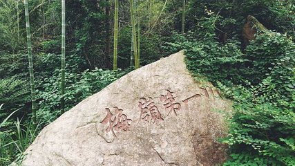 梅岭竹海明珠第 14 张图片
