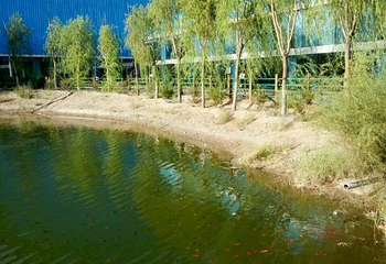 蒙根花温泉水世界第 14 张图片