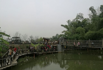 美丽南方第 41 张图片