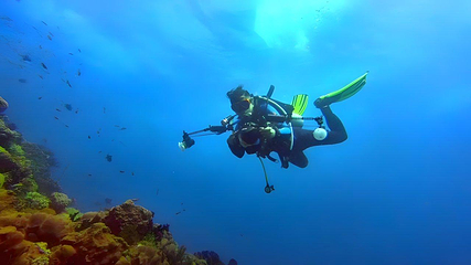 海合安天津极地海洋公园第 101 张图片