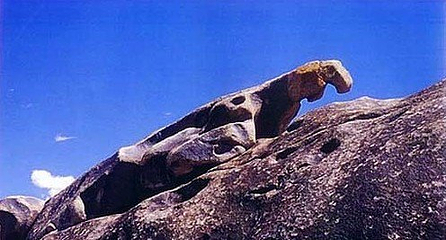 墩墩湾岩画第 4 张图片