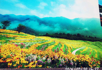 红池坝高山草场第 25 张图片