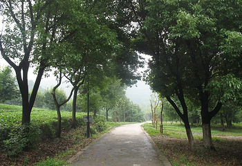 太湖花卉园第 7 张图片