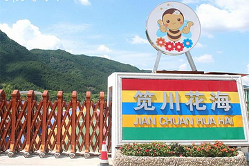 缙云县笕川花海第 13 张图片