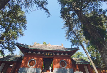 少林寺演武厅第 2 张图片