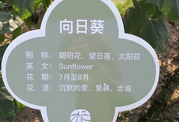 花田美地第 8 张图片