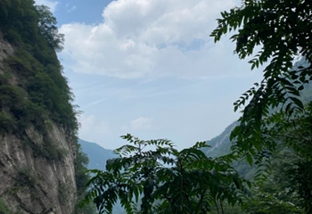 太平国家森林公园第 127 张图片