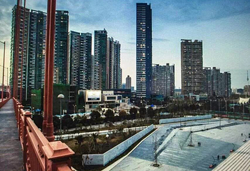 鹦鹉洲第 8 张图片